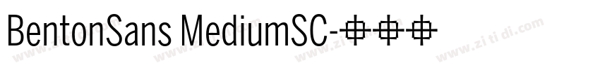 BentonSans MediumSC字体转换